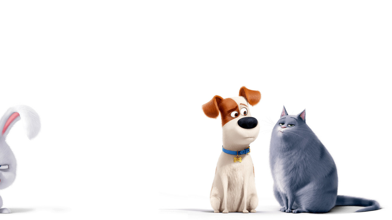 Обои The Secret Life of Pets Max and Chloe 1280x720