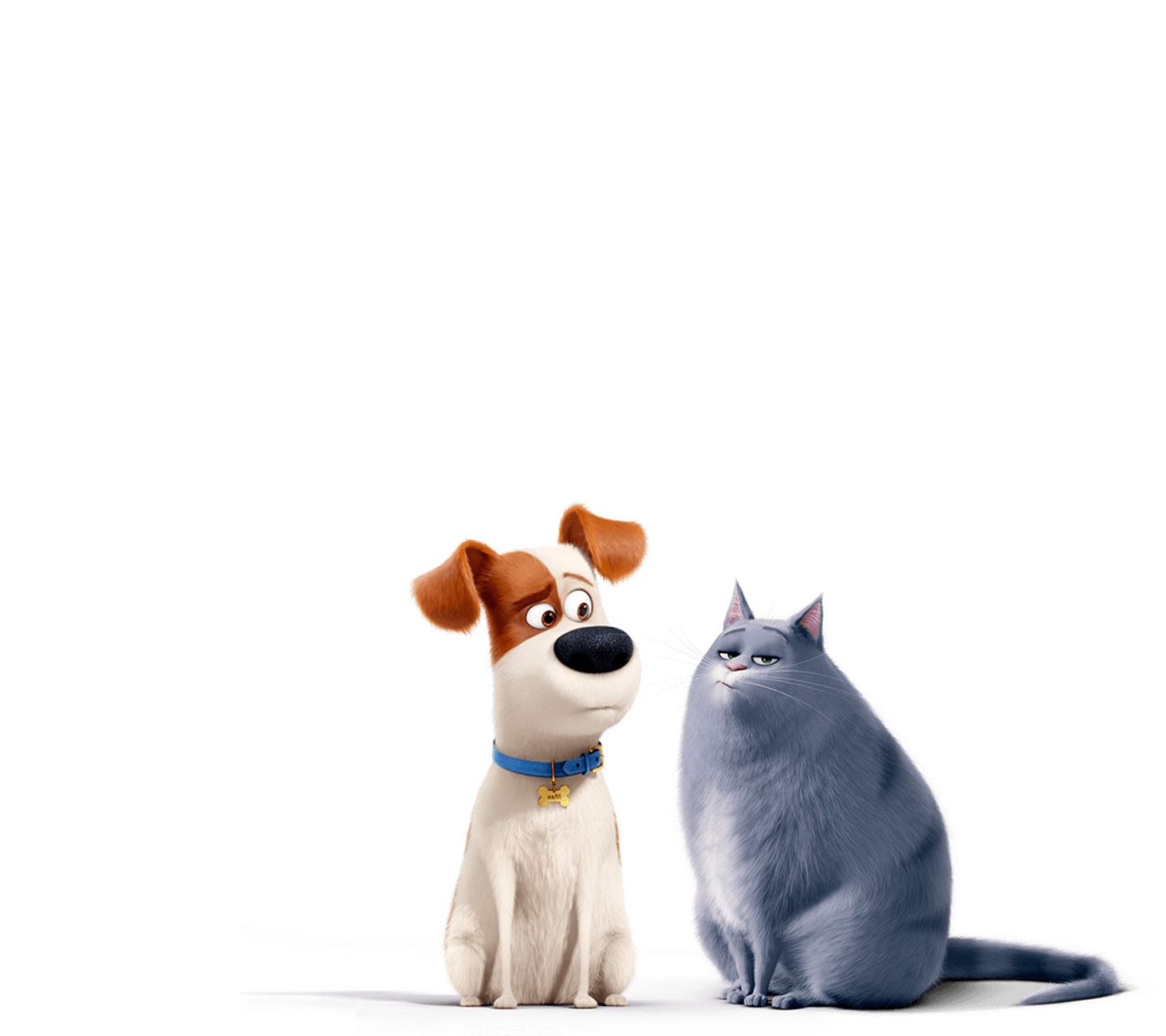 Fondo de pantalla The Secret Life of Pets Max and Chloe 1440x1280