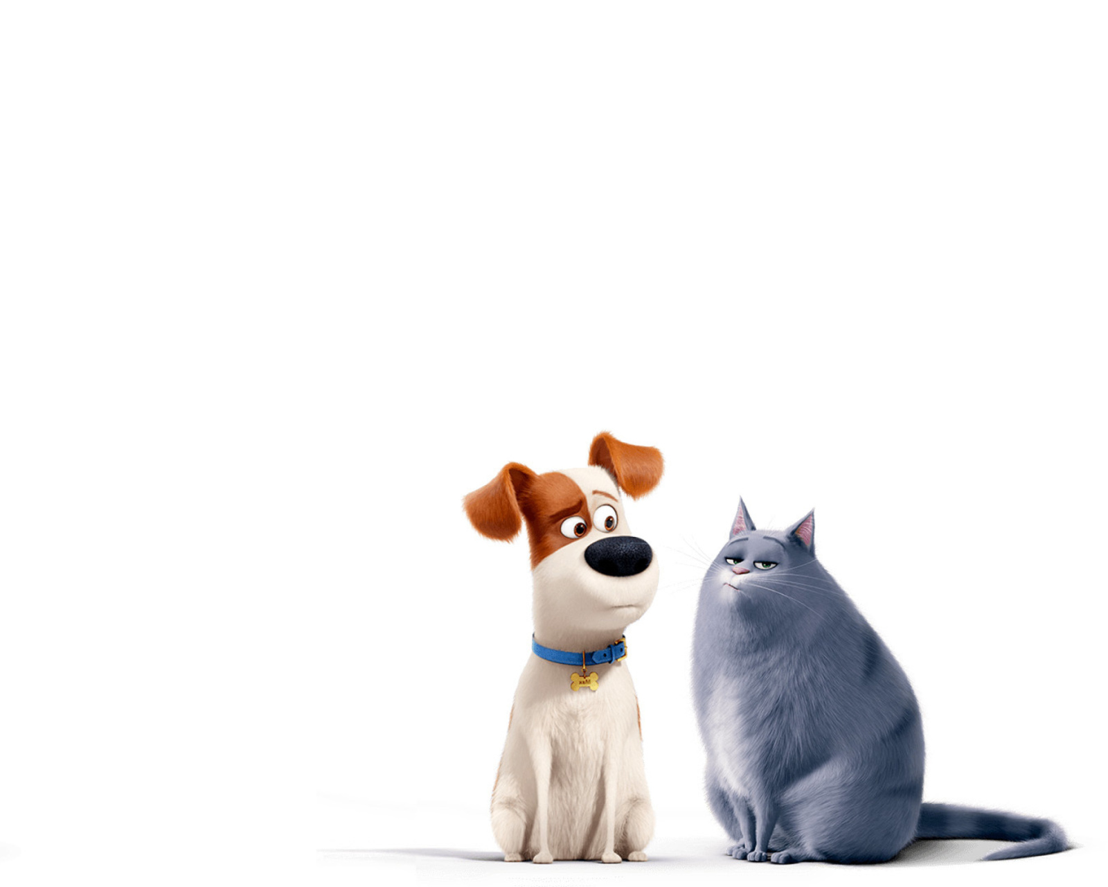 Fondo de pantalla The Secret Life of Pets Max and Chloe 1600x1280