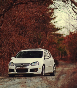 Volkswagen in Forest - Obrázkek zdarma pro Nokia Asha 300