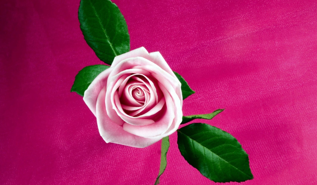 Screenshot №1 pro téma Pink Rose 1024x600