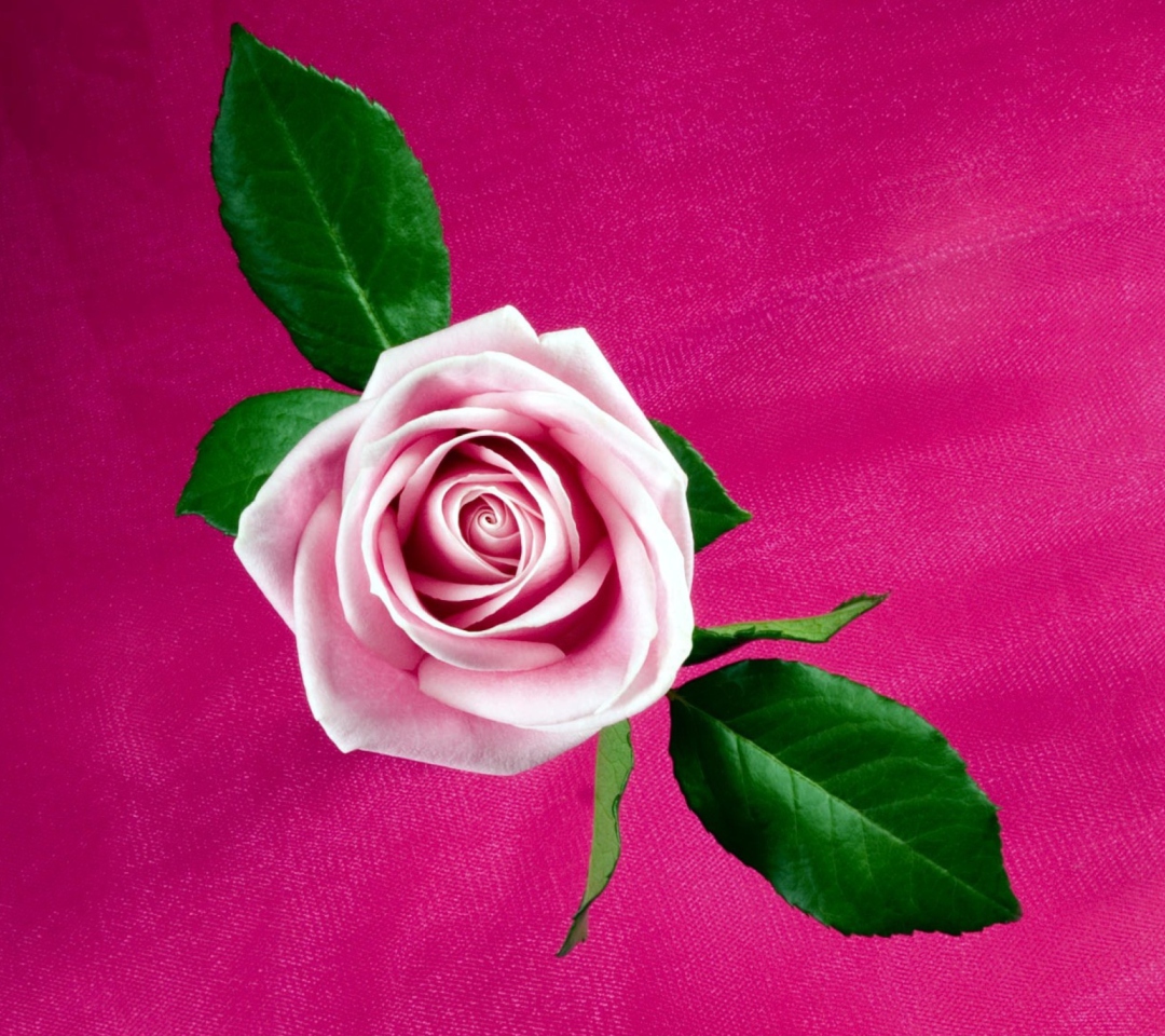 Screenshot №1 pro téma Pink Rose 1080x960