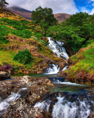 Snowdonia National Park in north Wales - Obrázkek zdarma pro 240x400