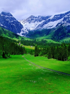 Alps Mountain screenshot #1 240x320
