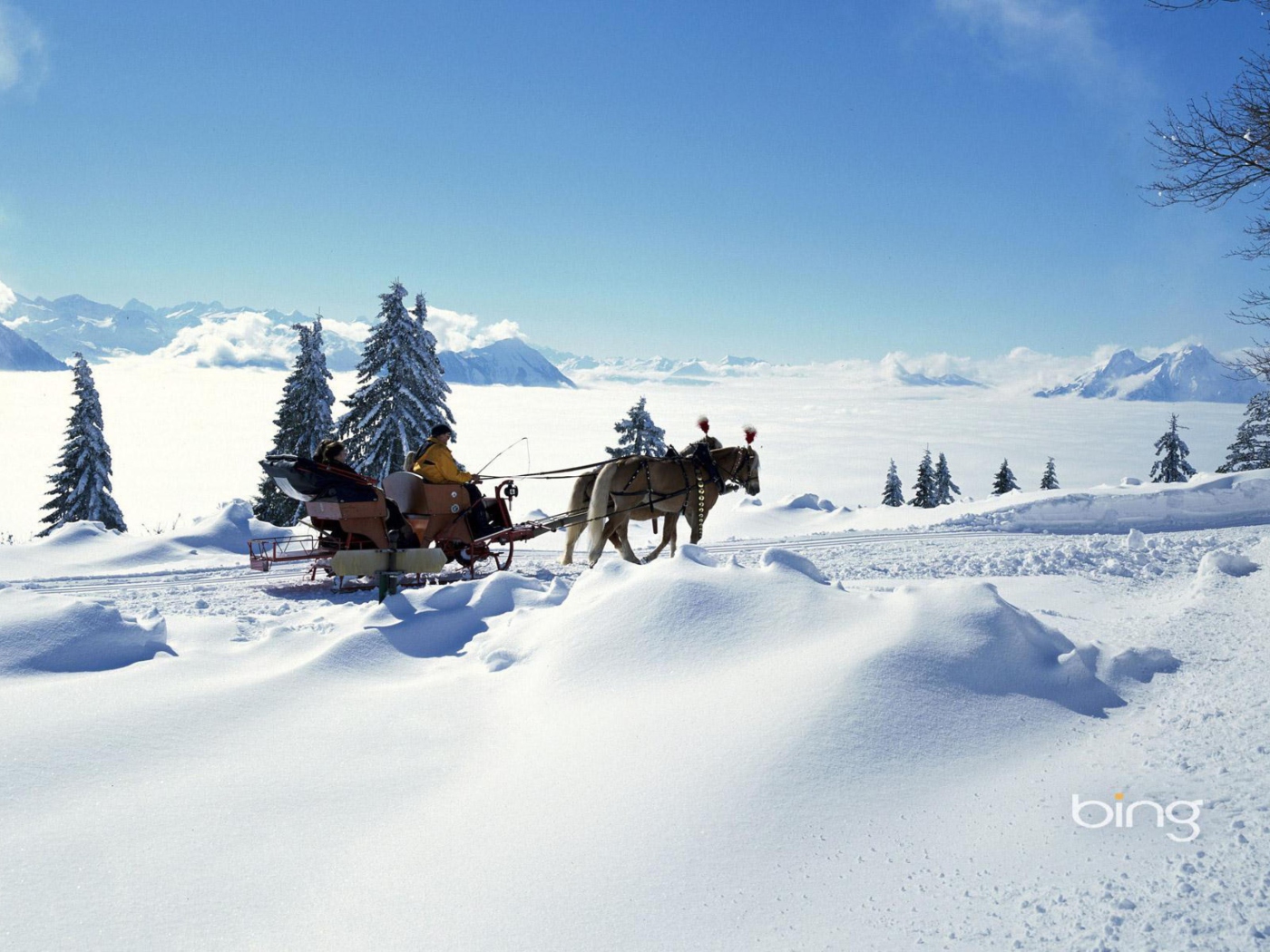 Winter Snow And Sleigh With Horses wallpaper 1400x1050