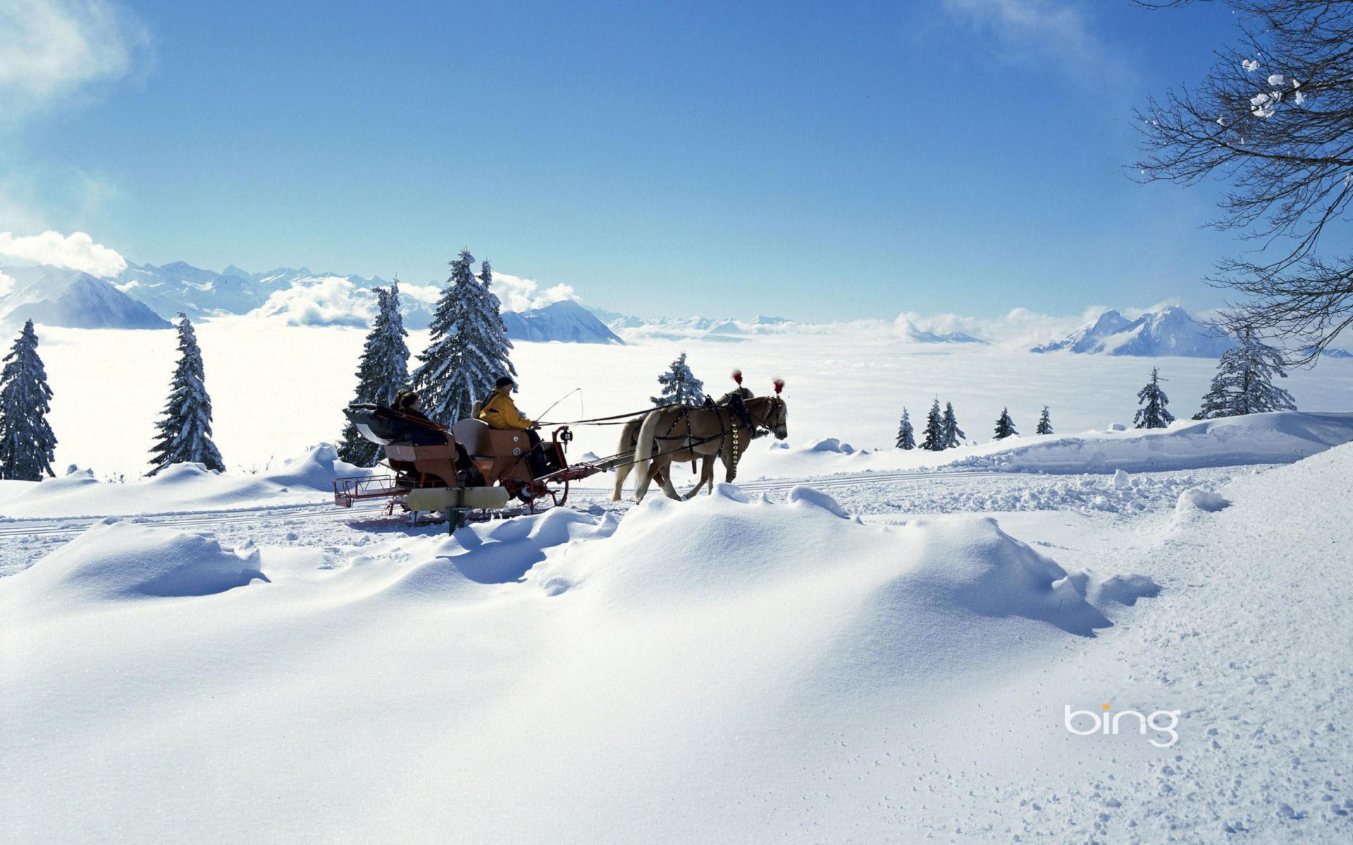 Winter Snow And Sleigh With Horses screenshot #1 1920x1200