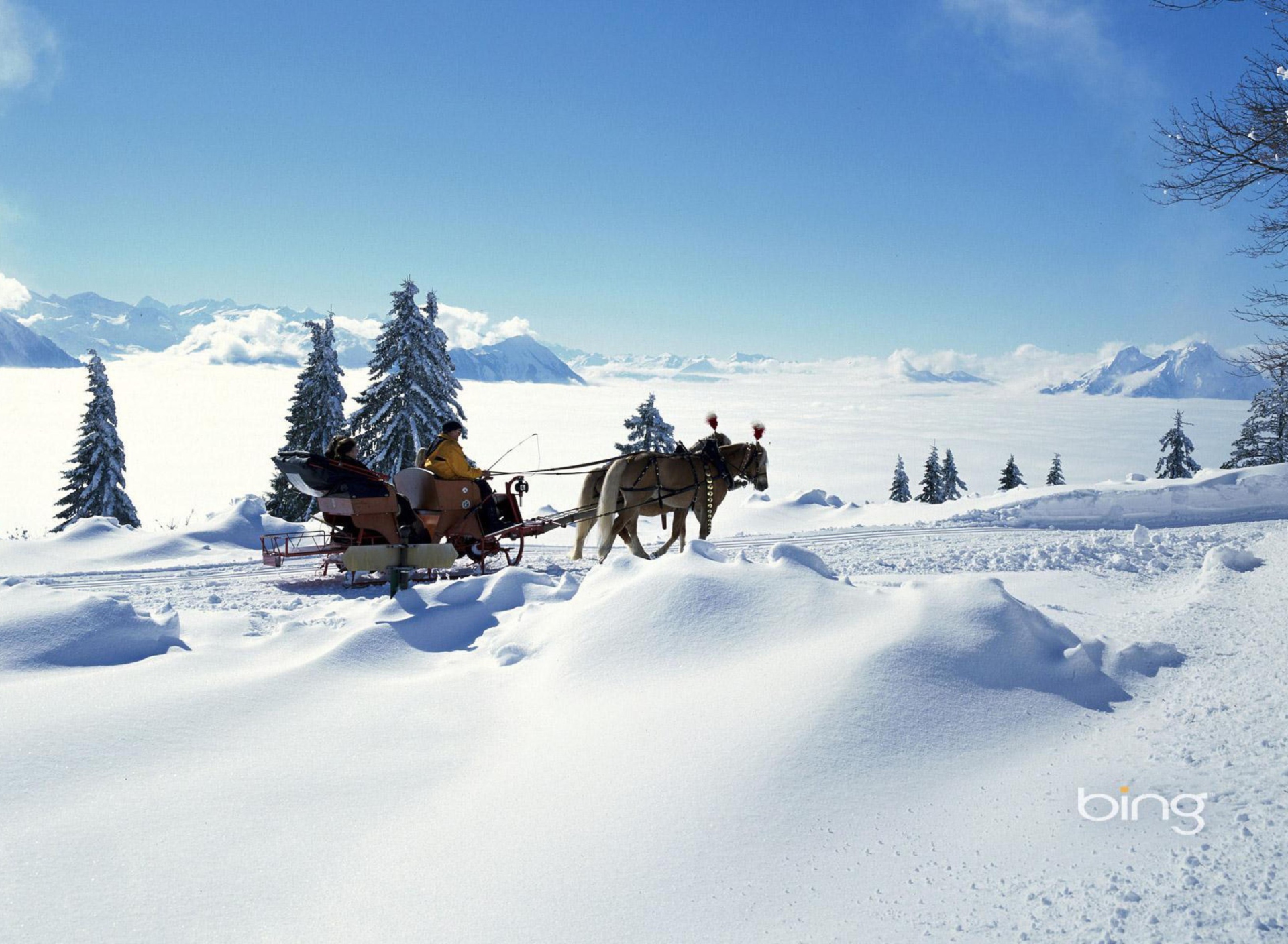 Winter Snow And Sleigh With Horses screenshot #1 1920x1408