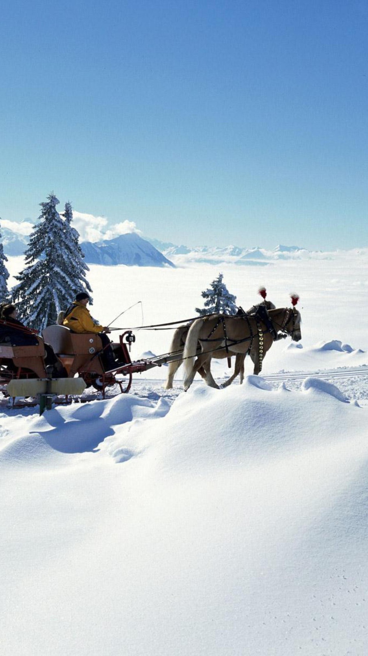 Das Winter Snow And Sleigh With Horses Wallpaper 750x1334