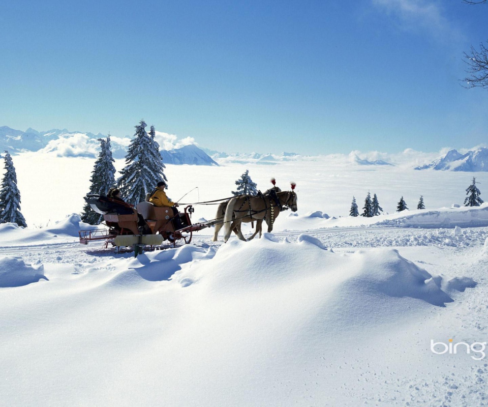 Sfondi Winter Snow And Sleigh With Horses 960x800