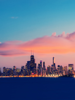 USA Illinois Chicago Lake Michigan wallpaper 240x320