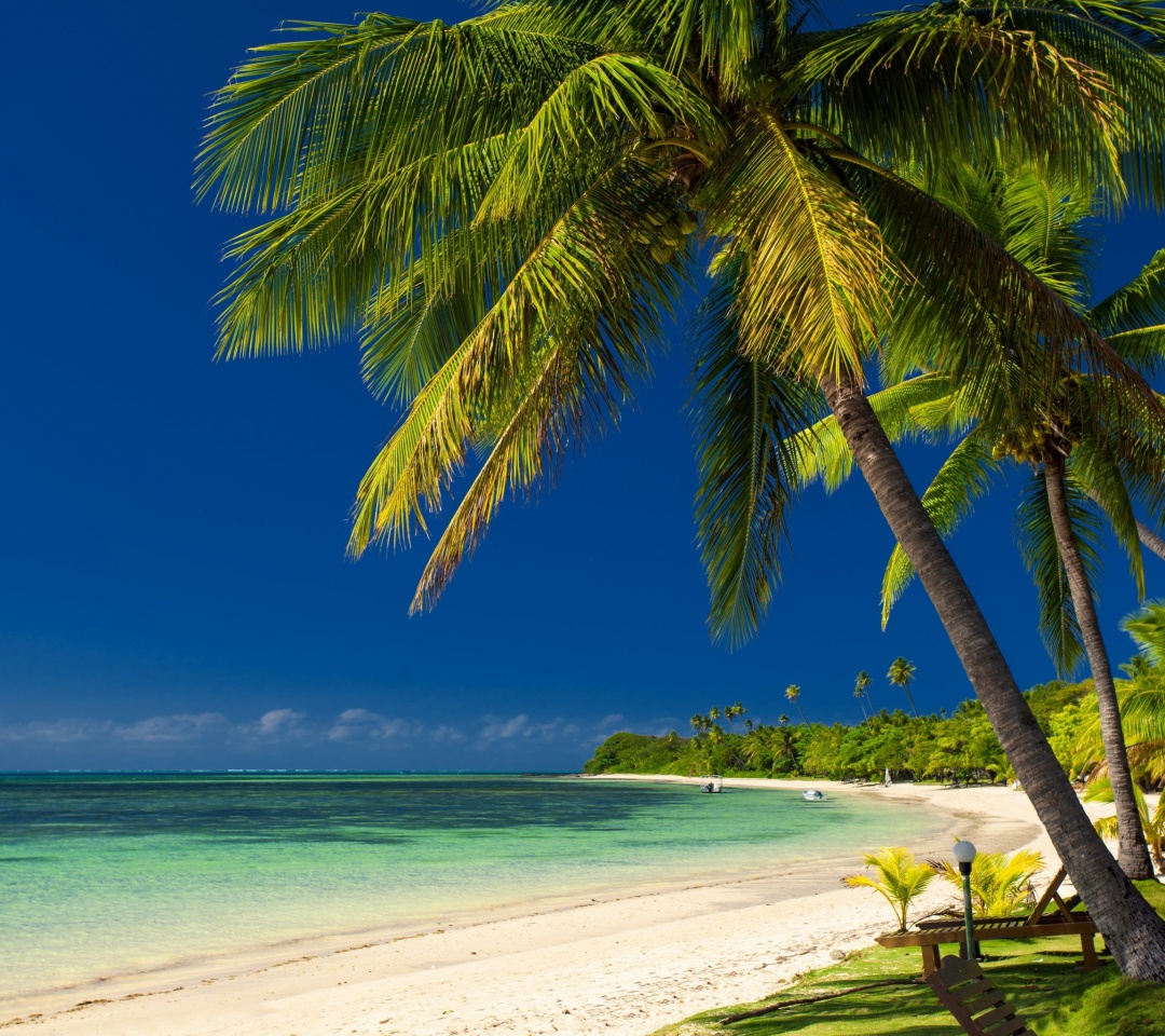Обои Paradise Coast Dominican Republic 1080x960