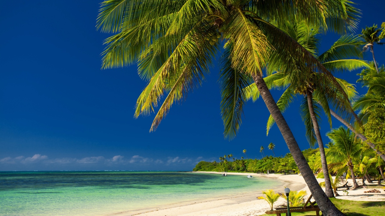 Screenshot №1 pro téma Paradise Coast Dominican Republic 1280x720