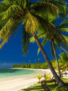 Paradise Coast Dominican Republic screenshot #1 240x320