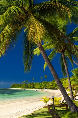 Fondo de pantalla Paradise Coast Dominican Republic 320x480