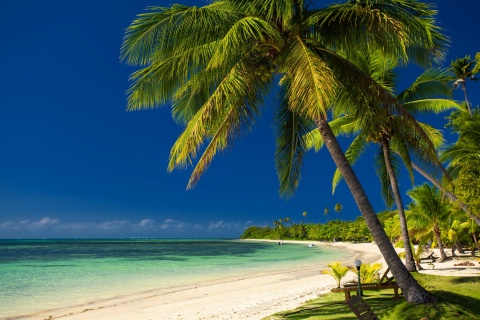 Fondo de pantalla Paradise Coast Dominican Republic 480x320