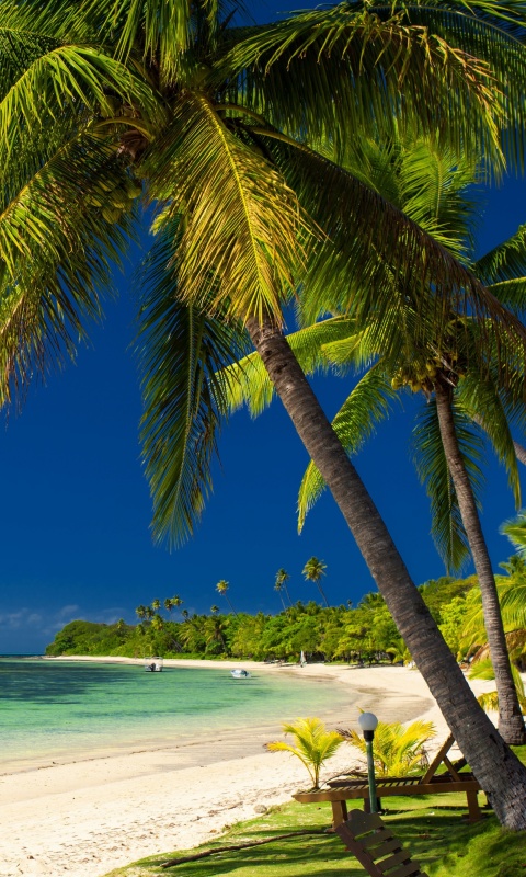 Screenshot №1 pro téma Paradise Coast Dominican Republic 480x800