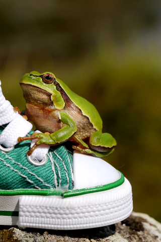 Screenshot №1 pro téma Green Frog Sneakers 320x480