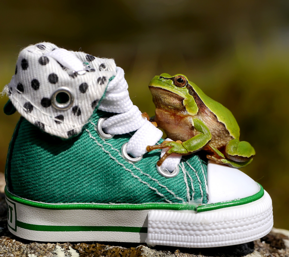 Das Green Frog Sneakers Wallpaper 960x854