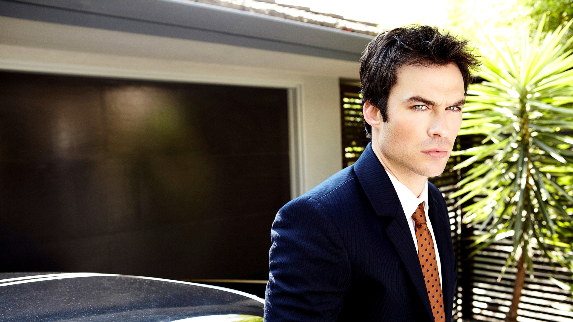 Screenshot №1 pro téma Ian Somerhalder 1920x1080