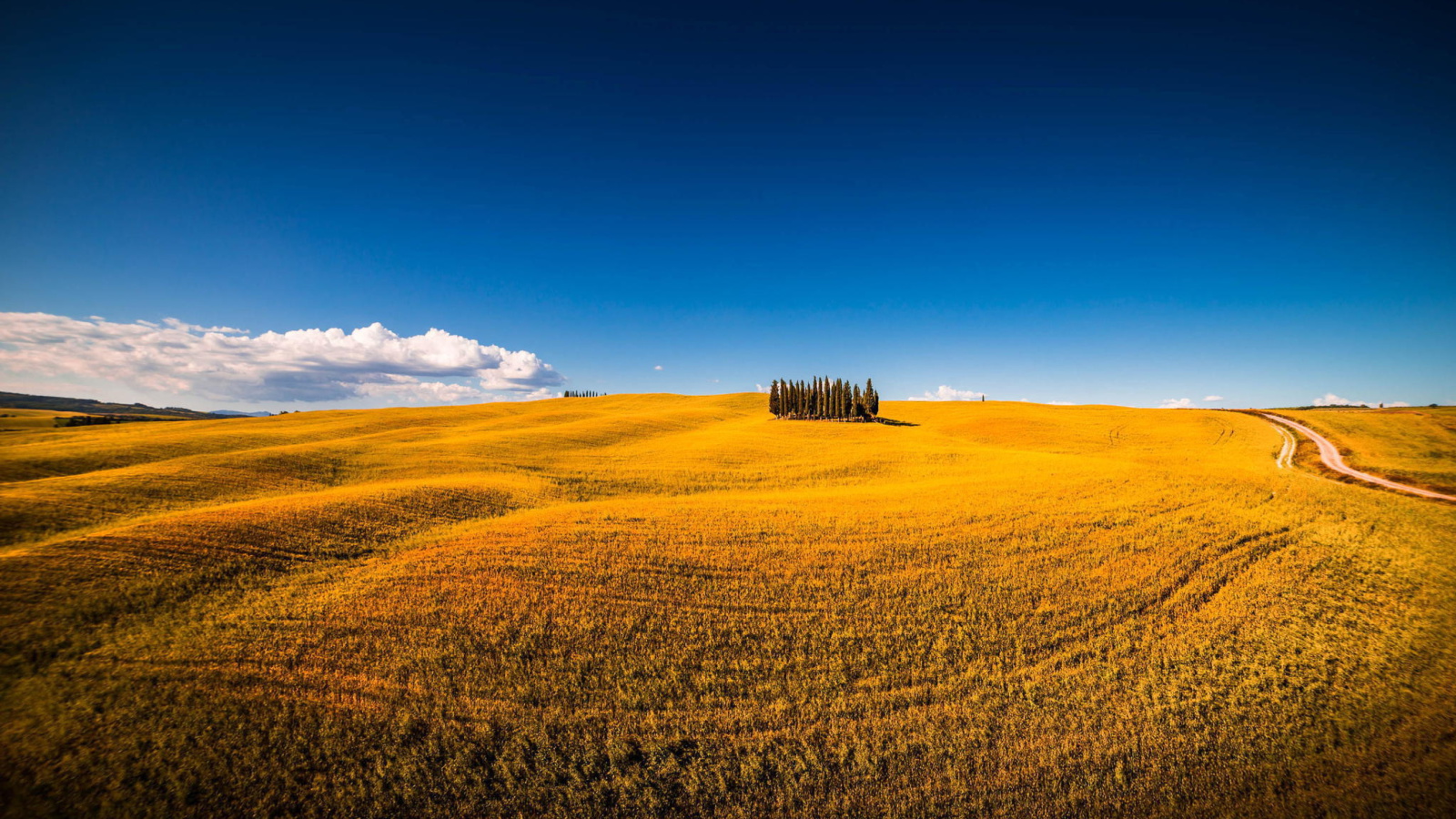 Fondo de pantalla Montalcino in Tuscany 1600x900