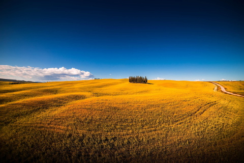 Fondo de pantalla Montalcino in Tuscany 480x320