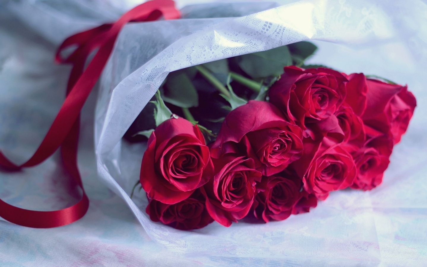 Обои Red Roses 1440x900