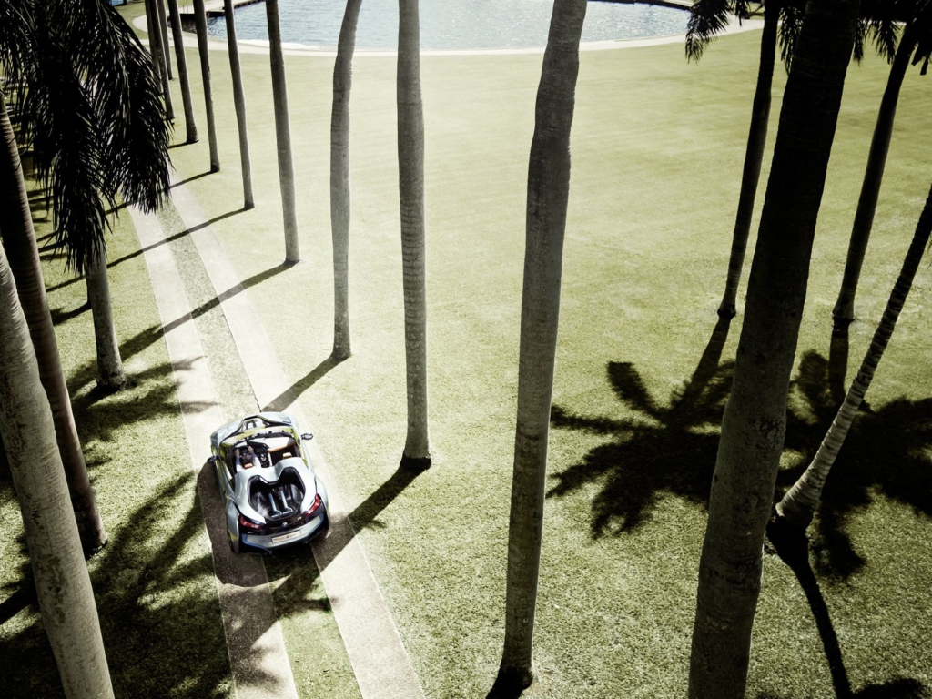 BMW i8 Concept Spyder Under Palm Trees screenshot #1 1024x768