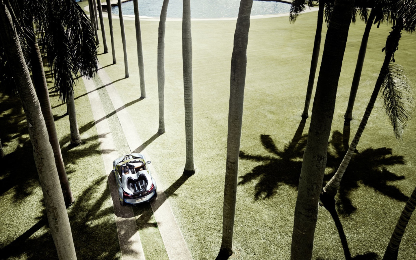 BMW i8 Concept Spyder Under Palm Trees screenshot #1 1440x900