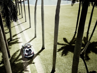 BMW i8 Concept Spyder Under Palm Trees screenshot #1 320x240