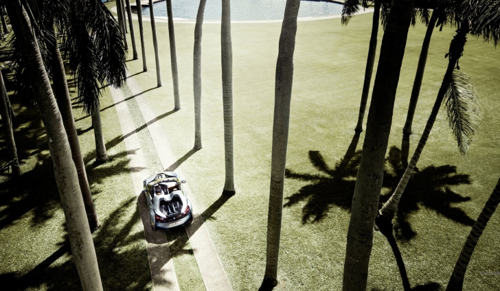 Das BMW i8 Concept Spyder Under Palm Trees Wallpaper