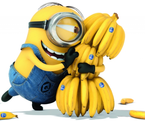 Das Love Bananas Wallpaper 480x400