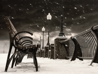Das Montreal Winter, Canada Wallpaper 320x240