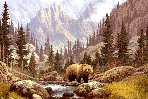 Fondo de pantalla Brown Bear Painting 480x320