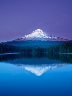 Fondo de pantalla Mountains with lake reflection 240x320