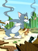 Screenshot №1 pro téma Tom and Jerry Fast and the Furry 132x176