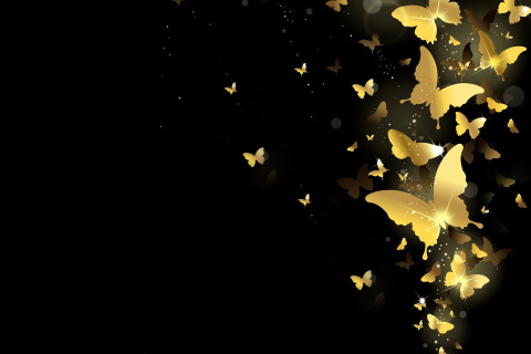 Screenshot №1 pro téma Golden Butterflies 480x320