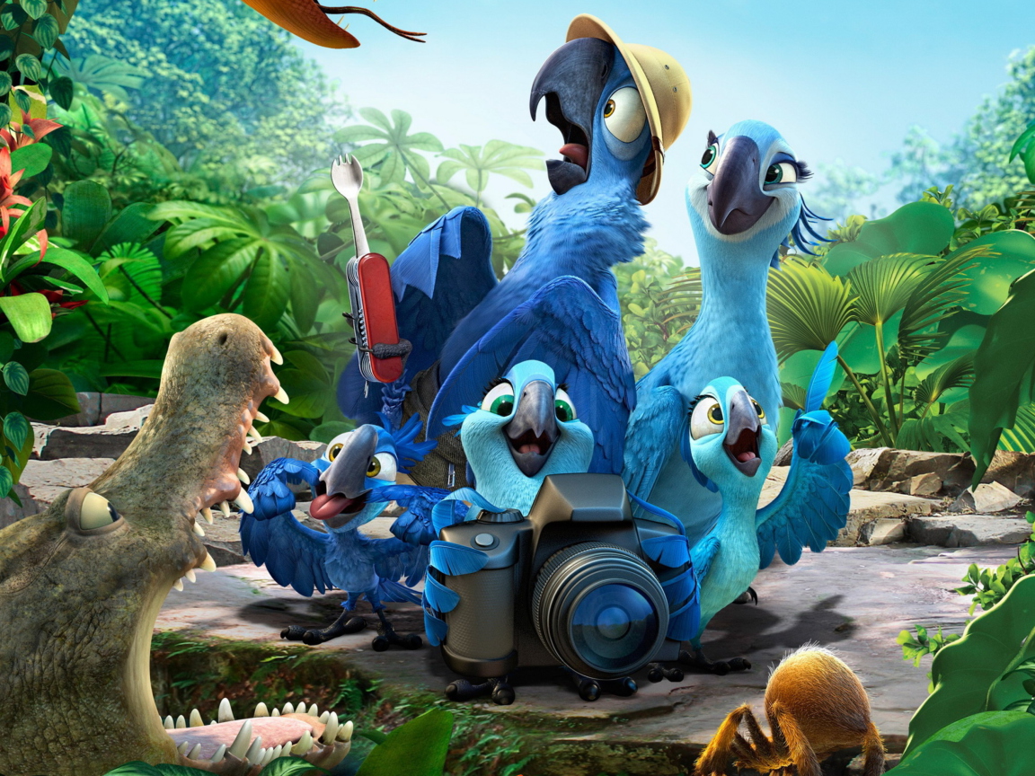 Rio 2 wallpaper 1152x864