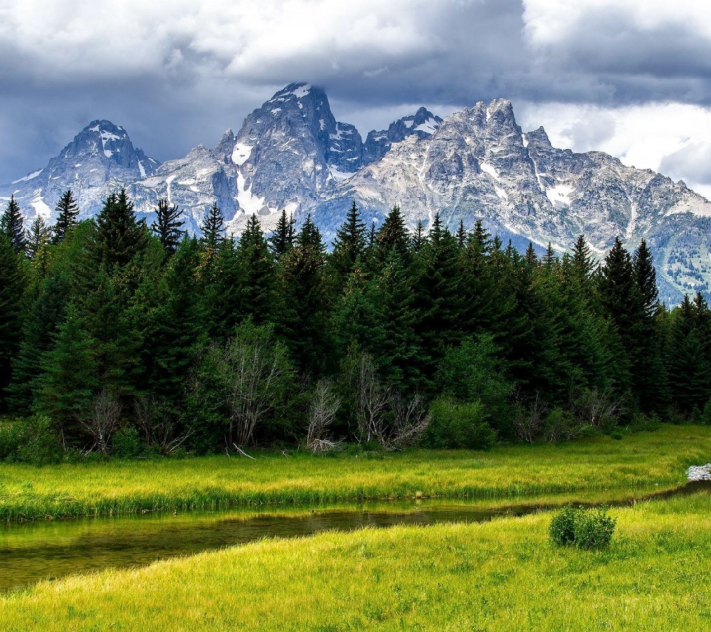 Das Beautiful Meadow Wallpaper 1440x1280