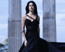 Screenshot №1 pro téma Katrina Kaif 220x176