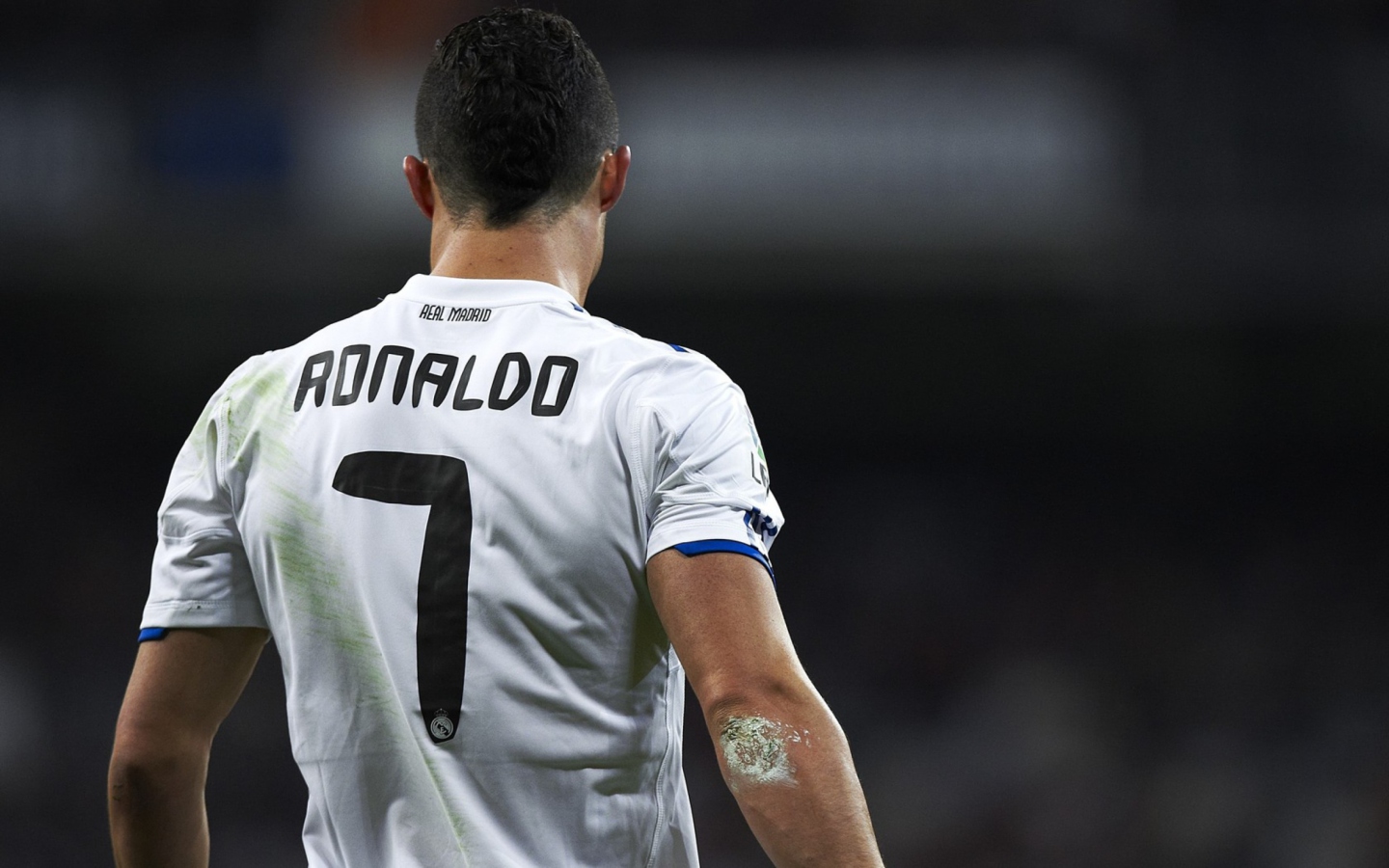 Обои Cristiano Ronaldo 1440x900