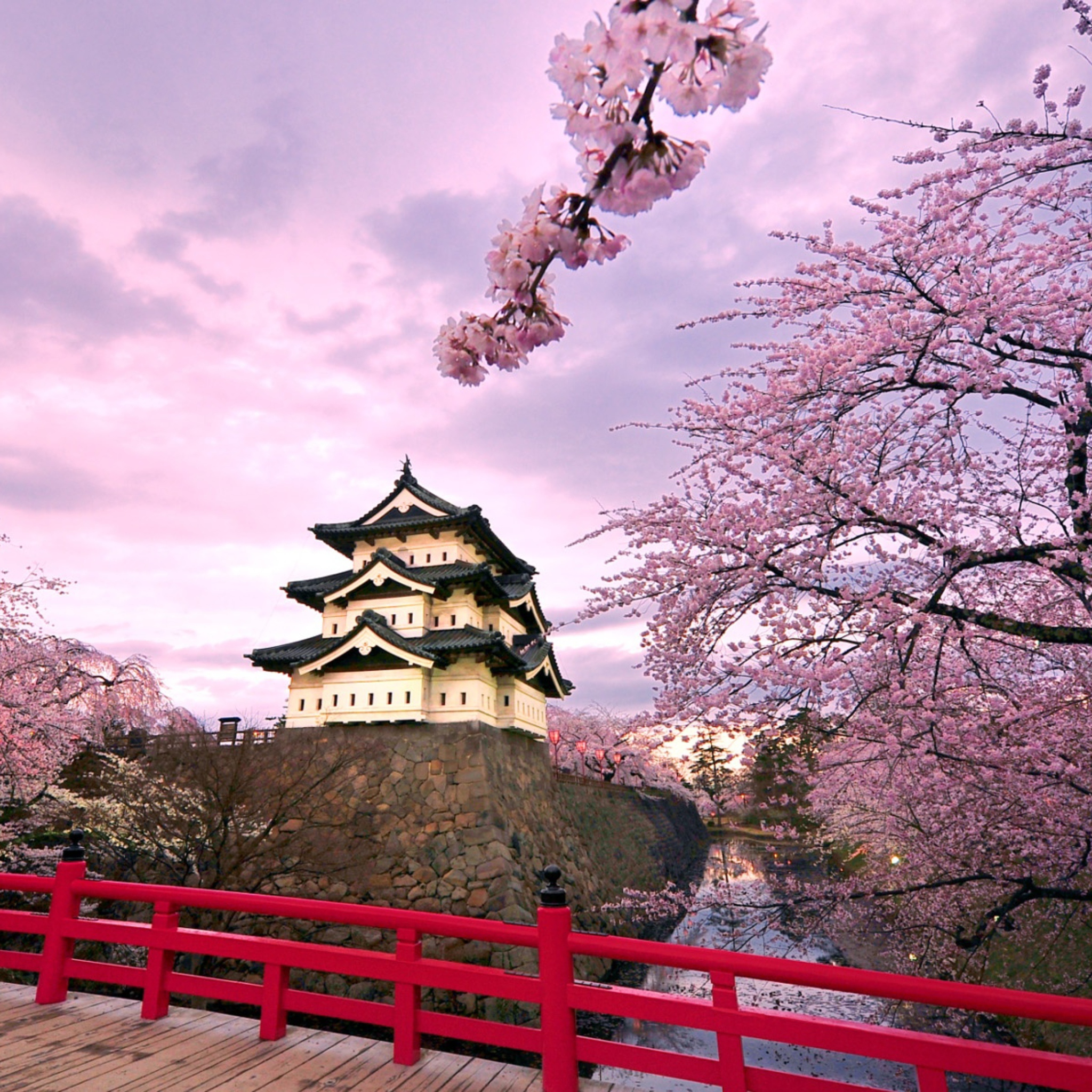 Screenshot №1 pro téma Hirosaki Castle Japan 2048x2048