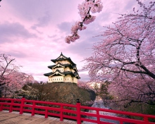 Screenshot №1 pro téma Hirosaki Castle Japan 220x176