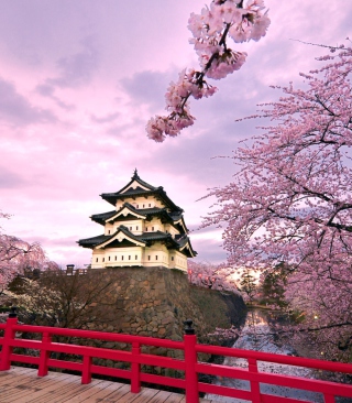 Hirosaki Castle Japan - Obrázkek zdarma pro 768x1280