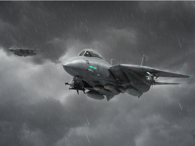 Grumman F 14 Tomcat Interceptor screenshot #1 640x480