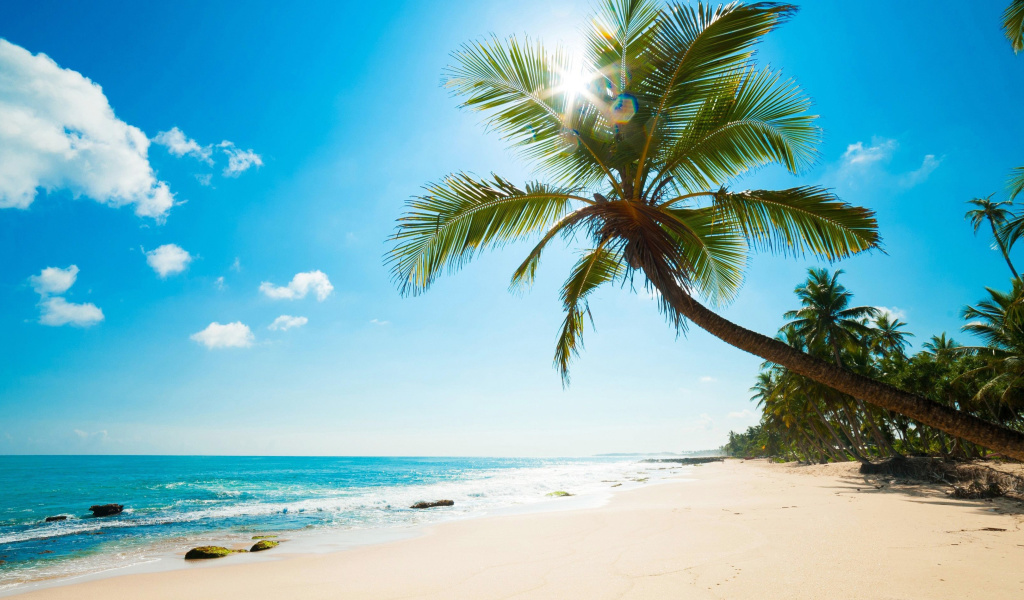 Fondo de pantalla Best Caribbean Crane Beach, Barbados 1024x600
