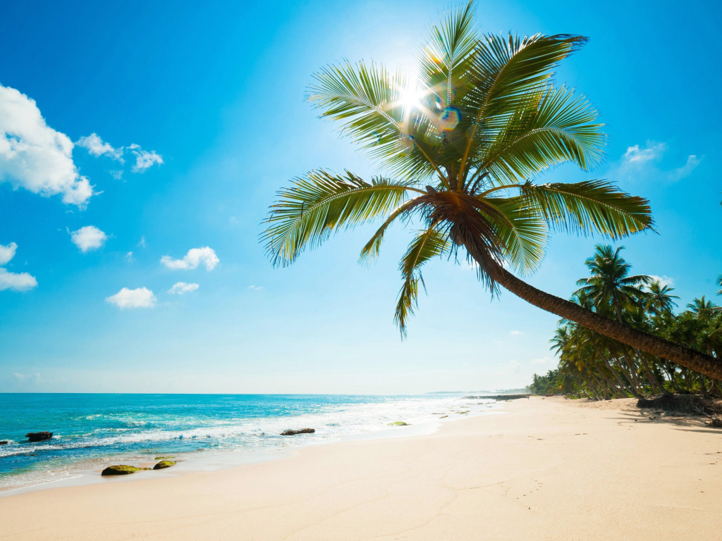 Best Caribbean Crane Beach, Barbados wallpaper 1024x768