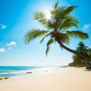Обои Best Caribbean Crane Beach, Barbados 128x128