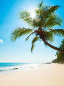 Sfondi Best Caribbean Crane Beach, Barbados 132x176
