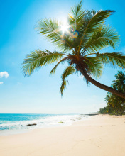 Best Caribbean Crane Beach, Barbados screenshot #1 176x220