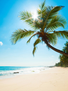 Fondo de pantalla Best Caribbean Crane Beach, Barbados 240x320